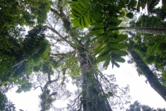A28