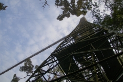 A46