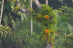 P1210113