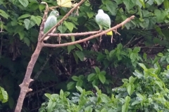 P1220196