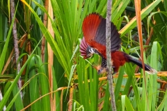 P1220232