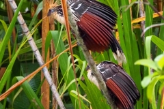 P1220240
