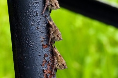 P1230017