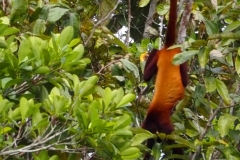 P1230097