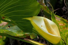P1230151