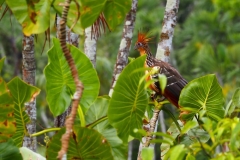 P1230193