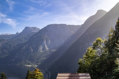 A41