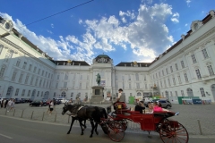 xIMG_6992