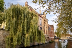 A05