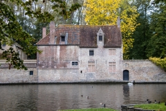 A23