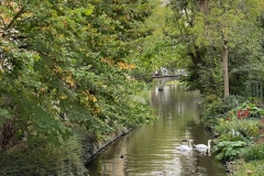 zIMG_0734