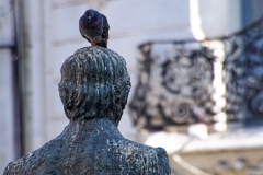 A Pigion On Statue Head
