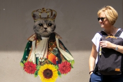 A Wife With Wall Cat