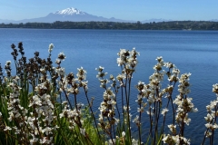 Puerto Varas 3