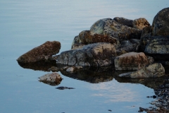 Puerto Natales 6