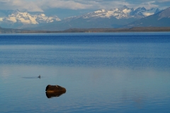Puerto Natales 9