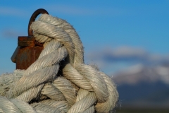 Puerto Natales 11