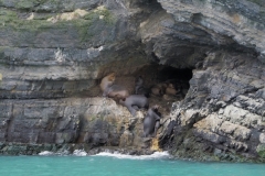 Seals