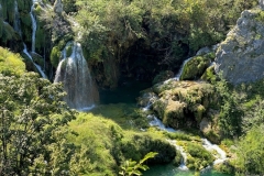 zIMG_6435