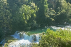 zIMG_6555