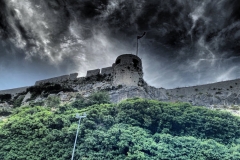 zIMG_6636