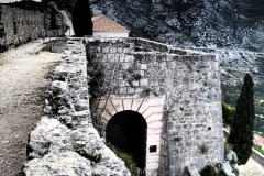 zIMG_6660