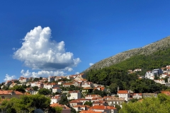 zIMG_6859