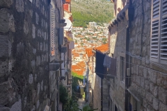 zIMG_6911
