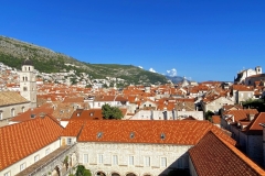 zIMG_6943