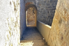 zIMG_6946