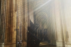 BIMG_5966