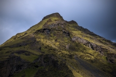 T17