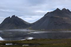 T41