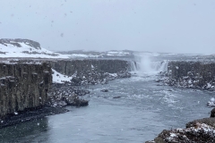 BIMG_8895