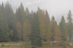 PA040113