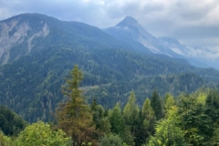zIMG_9538