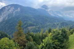 zIMG_9541