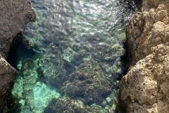 BIMG_0964