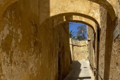 CIMG_0942