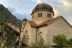 BIMG_8654