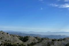 xIMG_8423