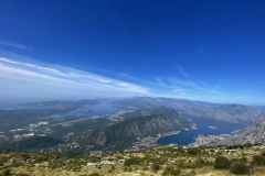 xIMG_8500