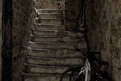 xIMG_8582