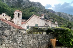 xIMG_8610