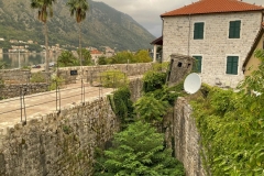 xIMG_8619