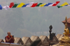 IMG_3465-copy