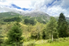 zIMG_4159