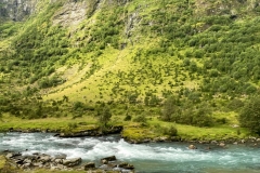 zIMG_4199