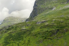 zIMG_4672