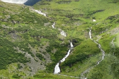zIMG_4702